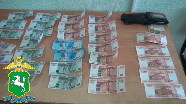 В Томской области полицейские задержали подозреваемого в хищении денежных средств