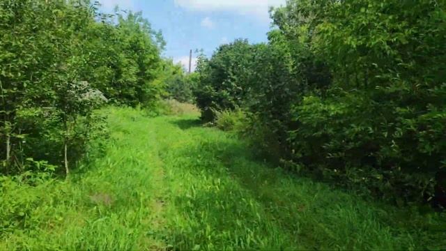 У каждого человека есть уголок детства)1 #местосилы #родина #славяне #россия #красотавокругнас #мир