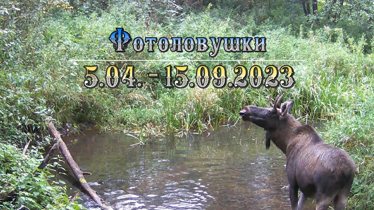 Фотоловушки 5.04. - 15.09.2023