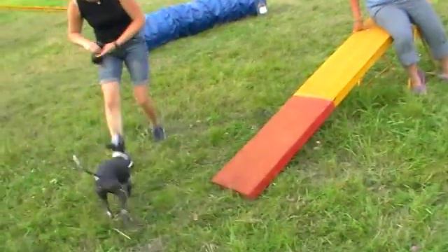 Наш первый с Чу  лагерь в Орле