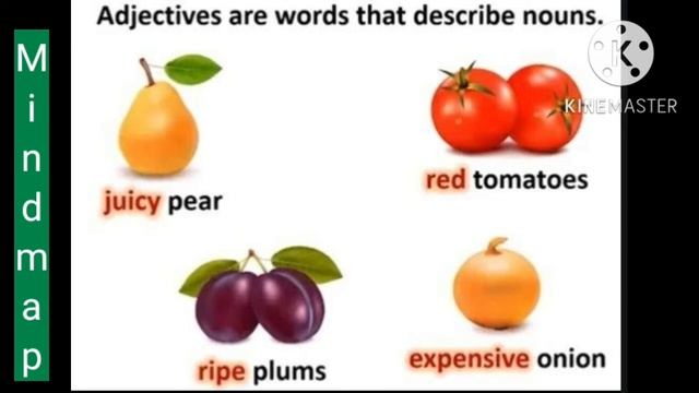 6th English/ Term 2 unit 1/ Grammar/ ADJECTIVE /notes of lesson