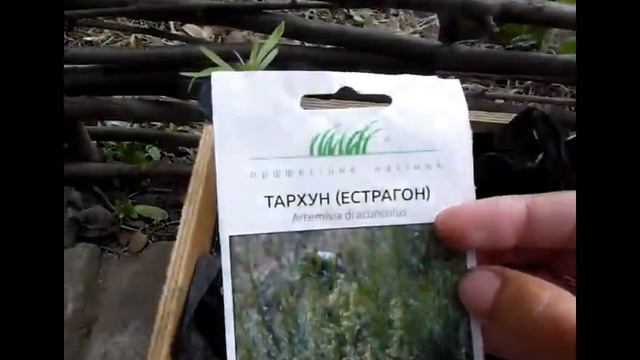 Дорогие семена больше НЕ ПОКУПАЮ!