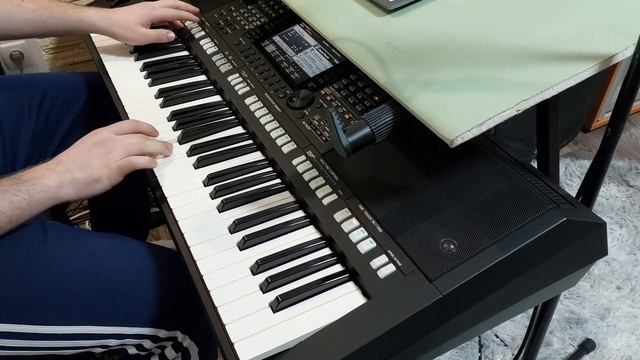 Mr. Credo “Чудная долина“ на синтезаторе Yamaha PSR S775