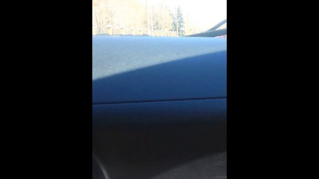 Сверчок в районе руля или в районе моторного отсека