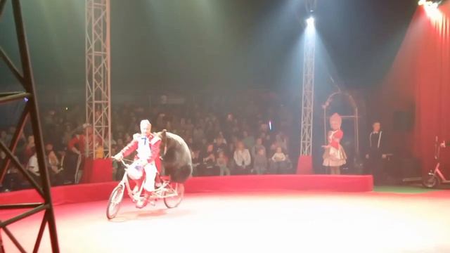 Цирк Моретти в Оренбурге
