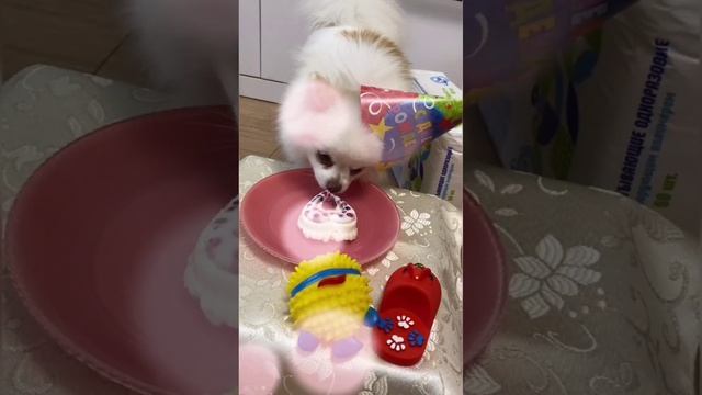 Мне исполнился годик