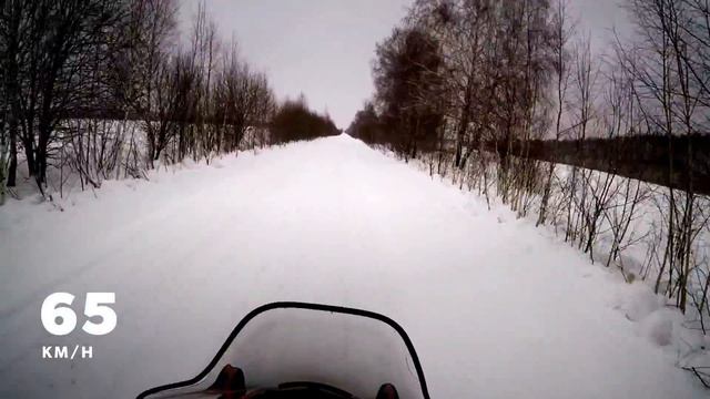 Снегоход РМ Tiksy 250 luxe