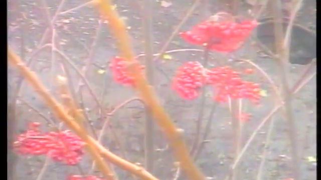 Лозівська панорама 24 11 2004