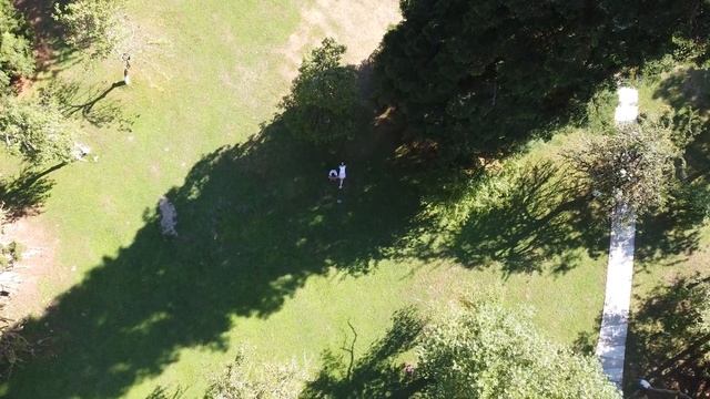 Озеро Рица. Дача Сталина. Классные кадры. Абхазия.