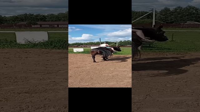 Знакомства ребёнка с лошадью.Прогулка на лошадке🥰