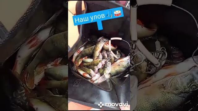 VID-20240804-WA0014
