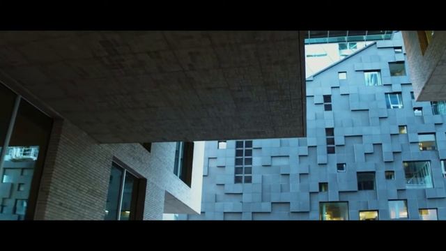 Фасадная клинкерная плитка Randers Tegl | TISAR