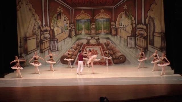 4to Concurso de Ballet Marius Petipa  SMOV 2020