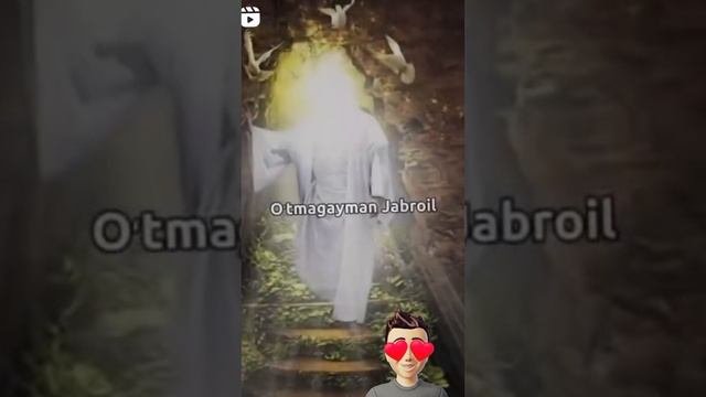 VID_69261114_190202_091.mp4