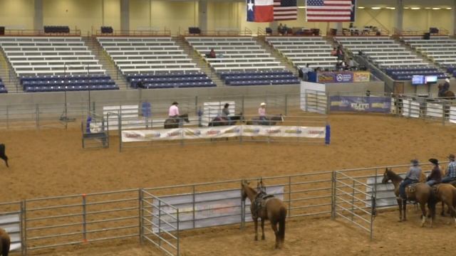 Team Penning - 10HC Set 2 - 2019 USTPA Panhandle Pen & Sort