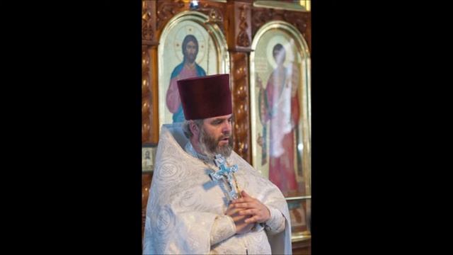 "икона Божьей Матери Троеручица" протоиерей Михаил Швалагин