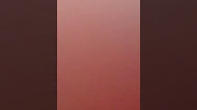 Злая собака по кличке сыр