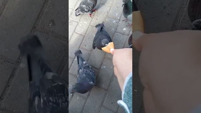 НАДО ВОТ ТАК
