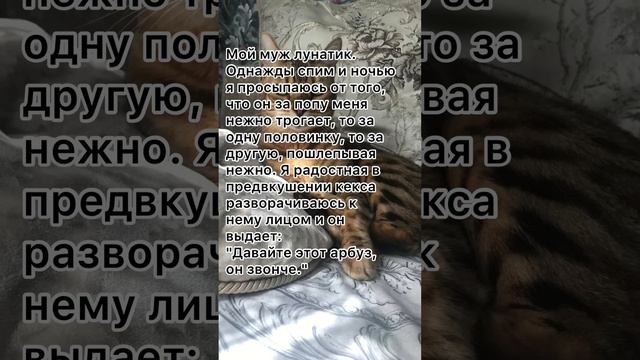 Муж лунатик 🤣🤣🤣 #анекдототкожаного #анекдоты #анекдоткороткий