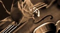 Giorgos Spyropoulos - My dream (solo violin)