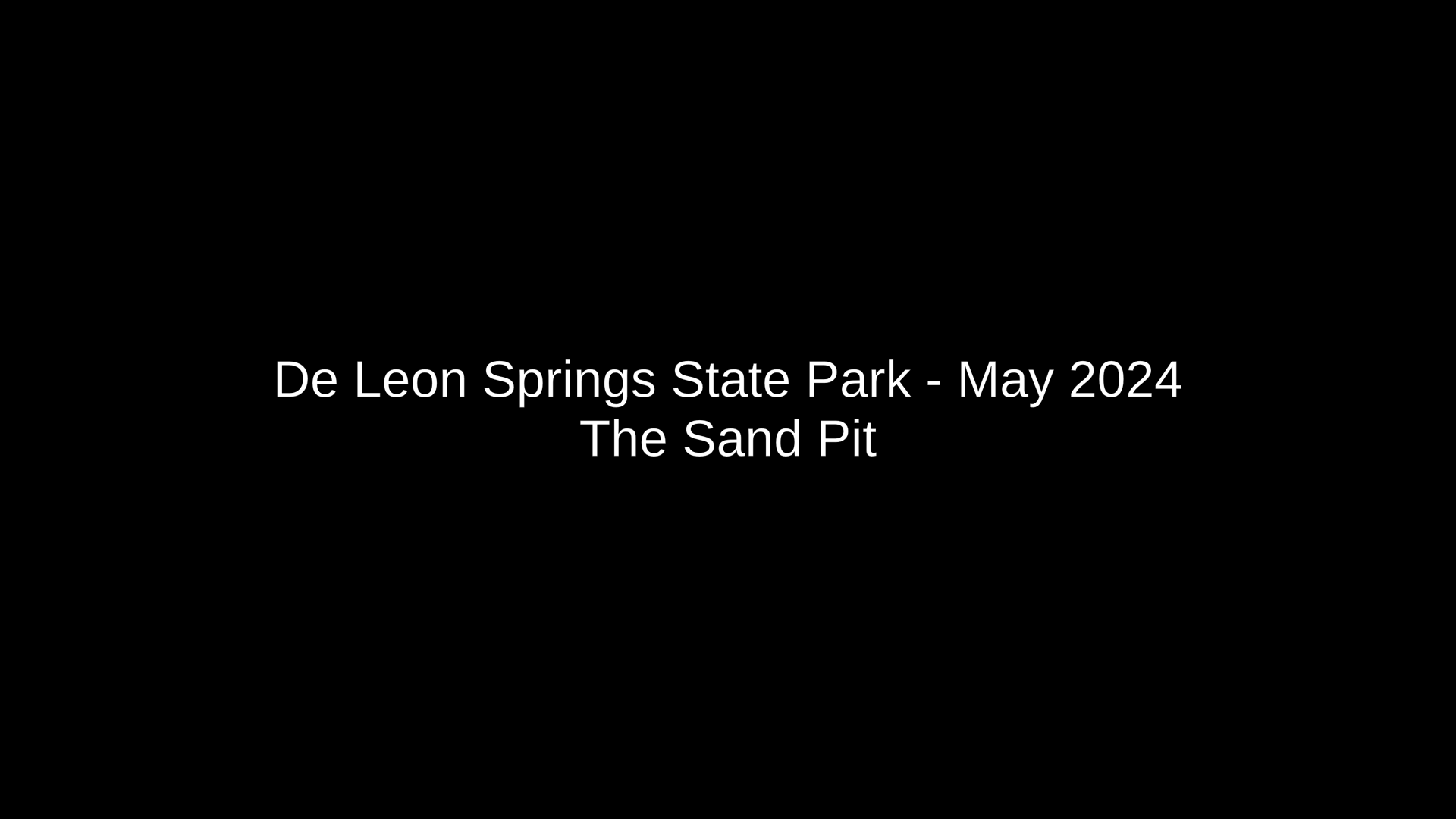 De Leon Springs State Park | De Leon Springs, FL (Государственный парк Де Леон Спрингс | Флорида)