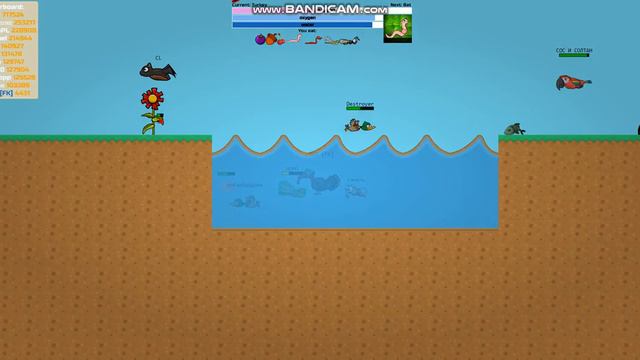 НОВОЕ ЖИВОТНОЕ В ФЛАЙ ОР ДАЙ [FLY OF DIE] Кот #3