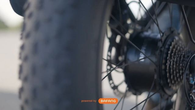 Bafang X Revibikes Cheetah