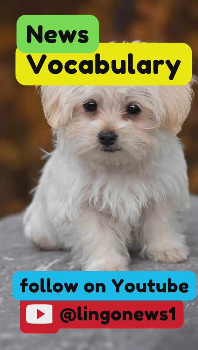 learn English listening speaking vocabulary