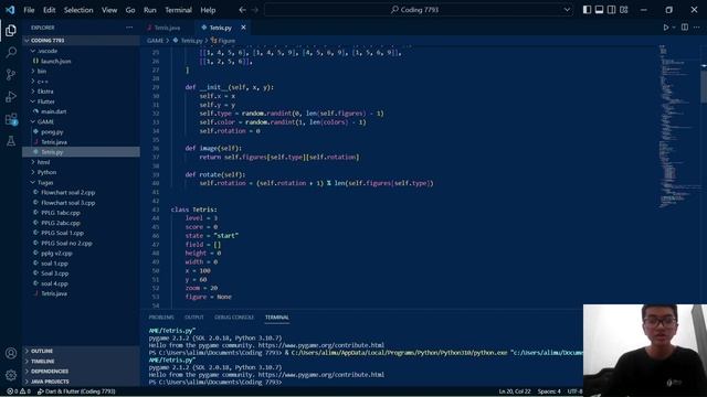 Project Java dan Python menjelaskan tentang game tetris