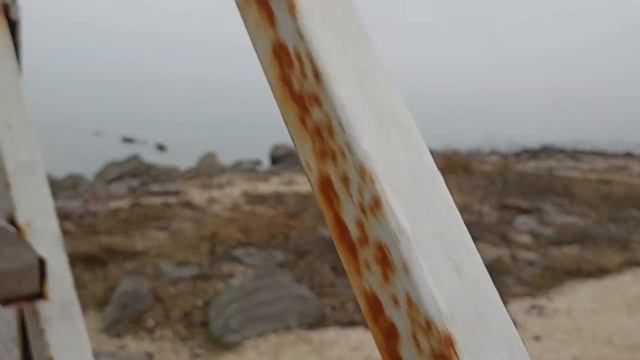 Переехали на ЮГ/Самый лучший ПЛЯЖ Ейска зимой/На Ейской косе идут изменения/Море ЗИМОЙ.