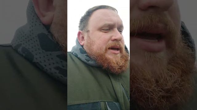 Отьемные телята и зерновой откорм