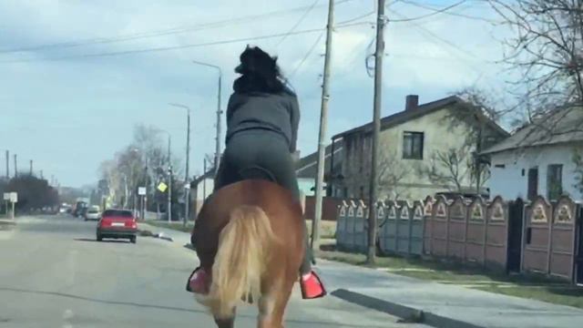 Девушка на коне 50км_ч