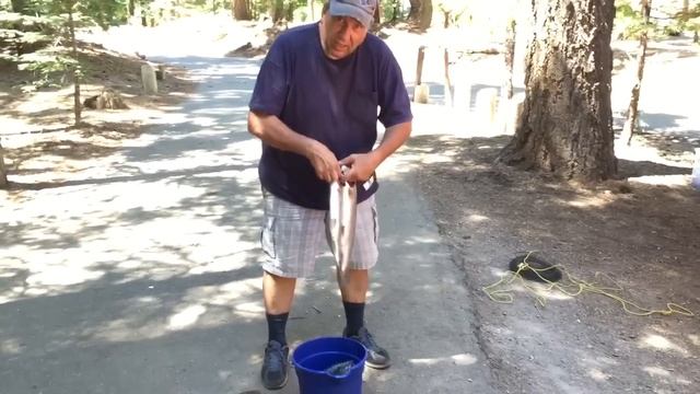 Кэмп Алманор. После рыбалки