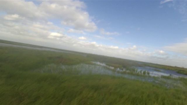 8_09_2019_Ветер