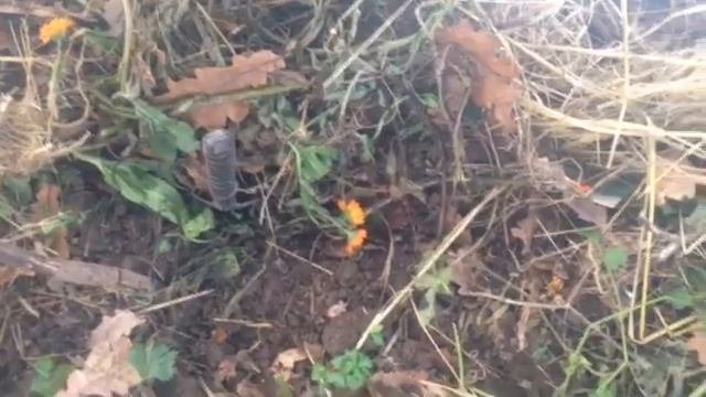 Использование теплицы с ранней весны до поздней осени