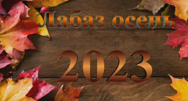 Осень 2023