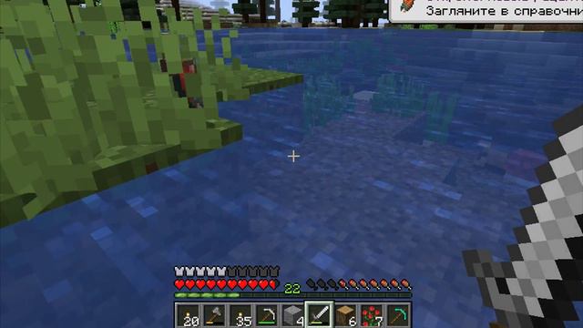I picked up fish and fried them in minecraft survival 8