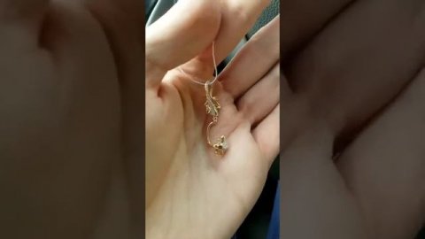 Пирсинг Ящерица