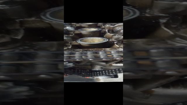VID_20231212_155907.mp4
