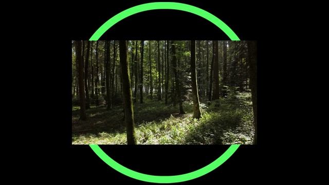 3.01 Роботы (3 часть)