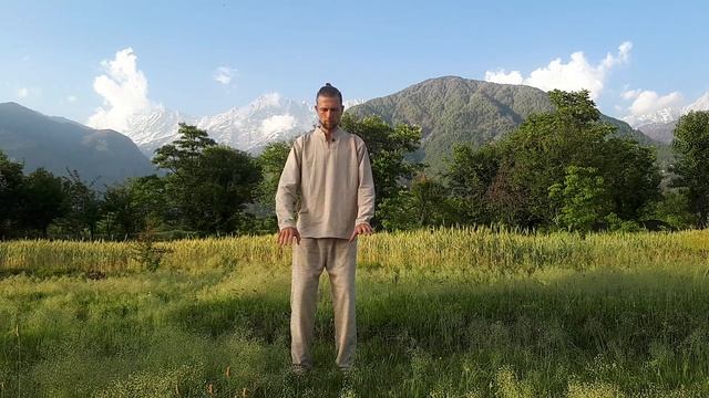Цигун техника "Отстройка тела, относительно вертикальной оси. Наполнение энергией Земли и Неба".