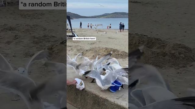 Туристка забыла спрятать картошку фри на пляже в Англии, и вот, что из этого вышло