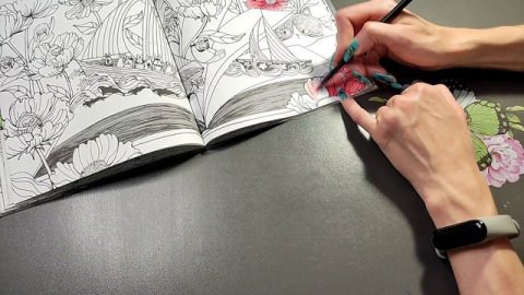 Хобби-VLOG:#113/с чего начинаю месяц/что раскрашиваю