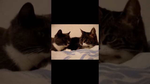 Пример конструктивных переговоров