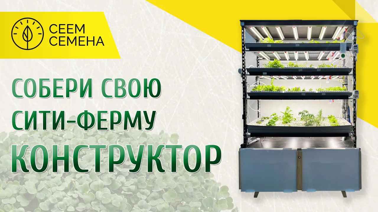 Www Seed Ru Интернет Магазин Www Seed Ru Интернет Магазин