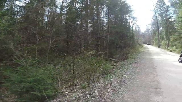 Тропа большого Кемерского болота.ЛАТВИЯ-путешествия.