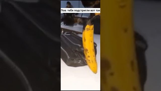 не пов а рил