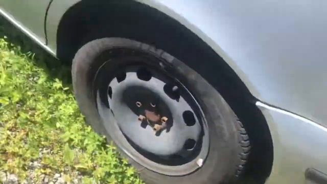 Разборка Seat - Leon 1999-2006, 1.9 TDI (VIN: VSSZZZ1MZ6R007183) V3453