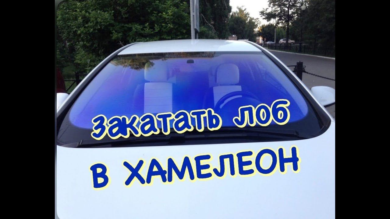 Закатать лоб в ХАМЕЛЕОН