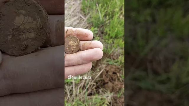 вот такое доброе утро